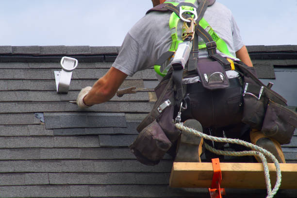 Best Metal Roofing Contractor  in Emmetsburg, IA