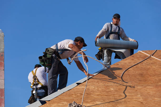 Best Affordable Roofing Company  in Emmetsburg, IA
