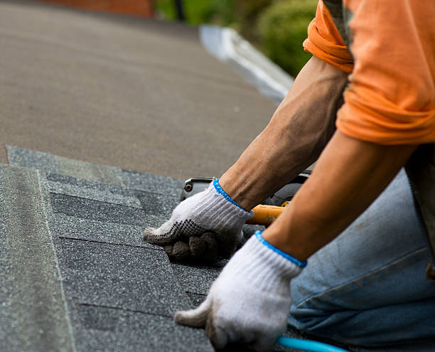 Best Best Roofing Contractors  in Emmetsburg, IA