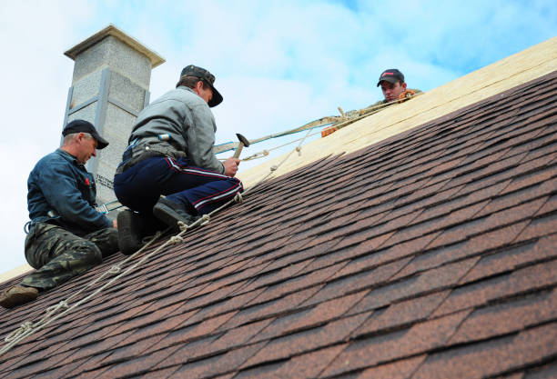 Best Flat Roof Repair Services  in Emmetsburg, IA
