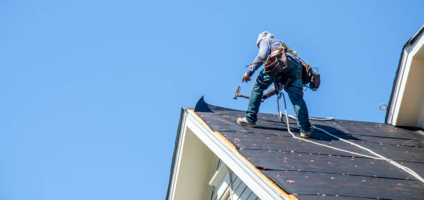 Best Roof Maintenance Services  in Emmetsburg, IA